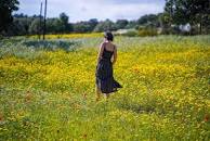 Image result for picture of someone alone in a field of flowers